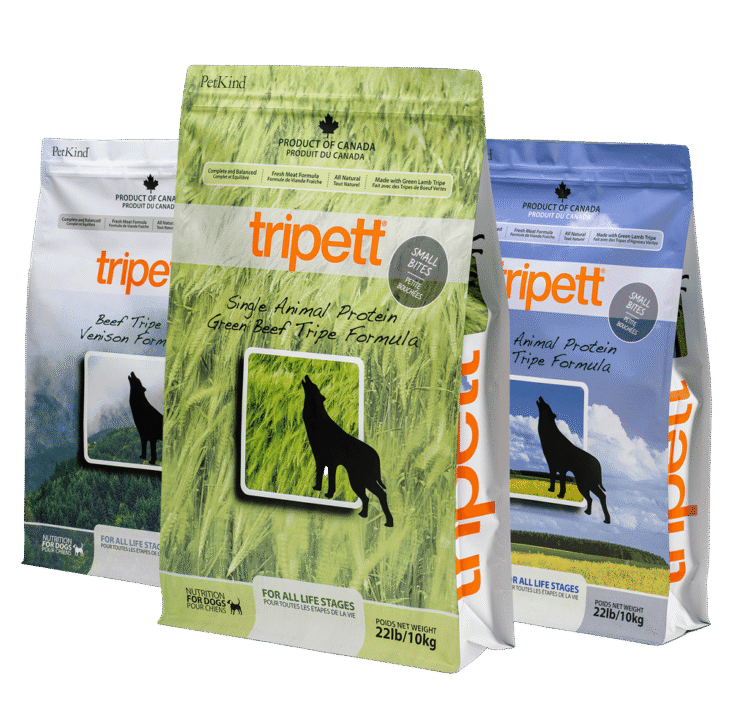 Healthy Dog Food